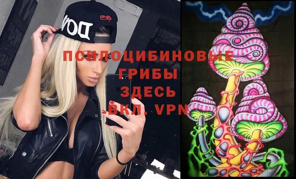 твердый Покачи