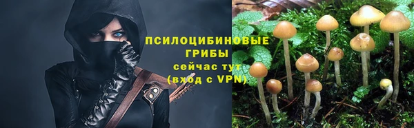 гидра Покровск