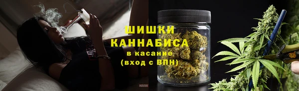 гидра Покровск