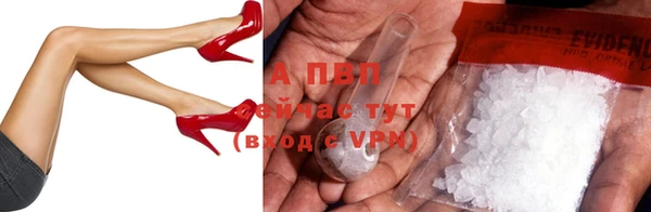 твердый Покачи