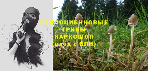 твердый Покачи