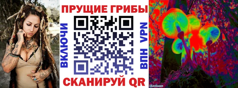дарнет шоп  Свободный  Псилоцибиновые грибы GOLDEN TEACHER 