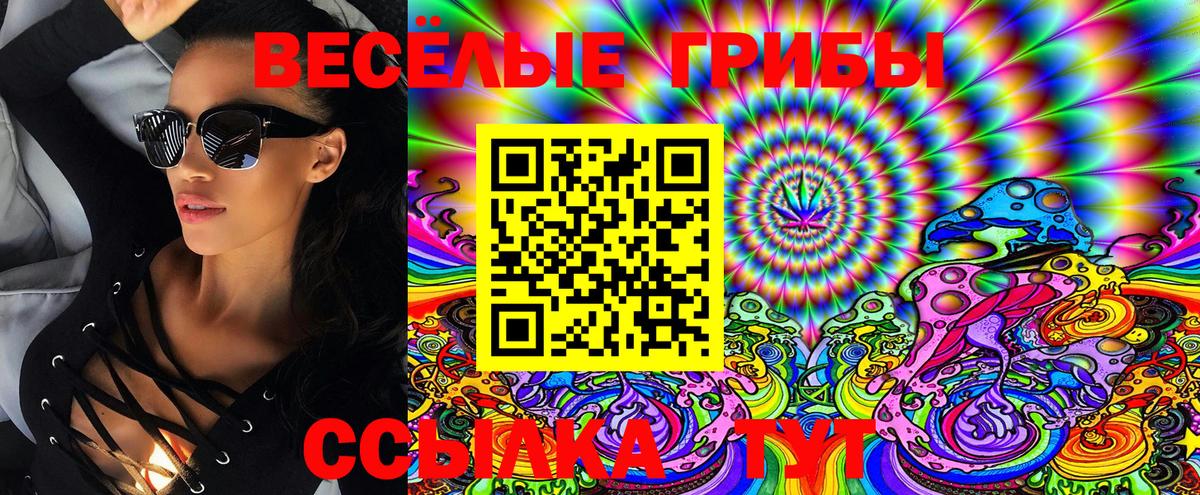 Псилоцибиновые грибы Psilocybine cubensis Свободный